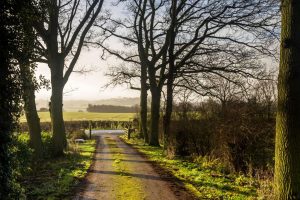 Drive to Oak Cottage